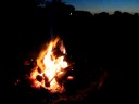 FrogBlog-12