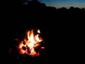 FrogBlog, fireside edition