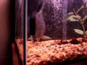100_2210.mov 100_2210.mov