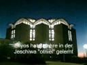 lehawa 2008/9 lehawa 2008/9
