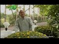 Father S. J. Berchmans - தேவனுக்கே............
