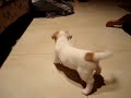 MOV00939.MPG