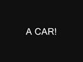 Cats In A Car!