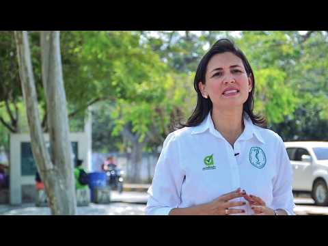Crónica