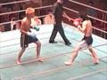 videos de kickboxing
