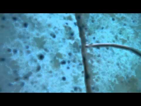 how to stop a swimming pool leak