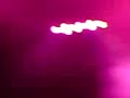 the-wombats-moving-to-new-york.html