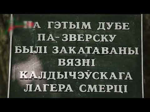 Наследники Великой Победы. 31 выпуск. 04.10.25