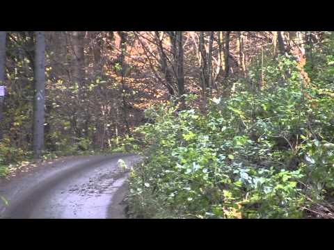 Latest WRC HD & Rally HD Videos