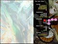 エスプガルーダII