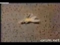 Airplane and Helicopter Crash Compilation