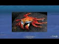 Ocean Acid Test by O