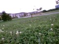 Onboard Savage Flux 2350 Brushless