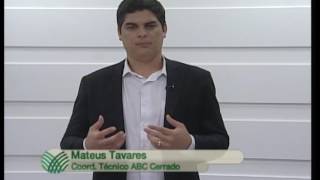 Vídeo