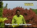 FUENTE DE UNCION Y PODER Estamos en Victoria