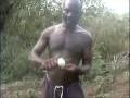Inside the Plantation