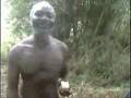 Inside the Plantation