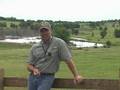 Dog Bytes 1