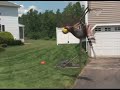 Conor-s-Pogo-Backfli