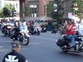 Video 7 - Harley Davidson 105th Anniversary - Parade