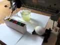print_eggs.flv