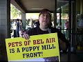It is Important to Know Where Pet Stores get their Animals