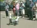 ZDF-06-news-Jean-Yve