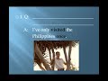 Lesson 6c - PRESENT PERFECT - English Grammar