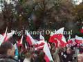 Młodzież Wszechpolska