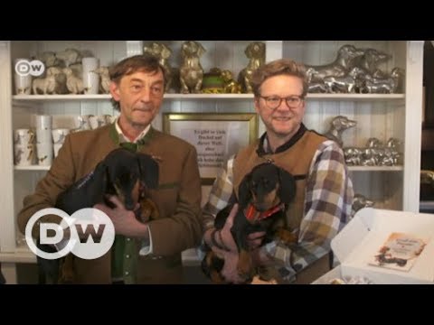 Dackelliebe - Deutschland erstes Dackelmuseum| DW D ...