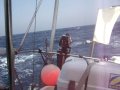 Sailing Northboud In The Red Sea, Coast of Sudan Sailing Northboud In The Red Sea, Coast of Sudan