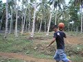 MX practice in Malaubang Race Track round 2 MX practice in Malaubang Race Track round 2