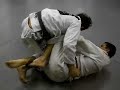 Chute Boxe Jiu Jitsu Por Ivan Canello