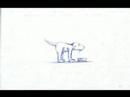 atacking the bone/ataque ao osso