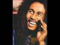 videos de bob marley tributes to a star in is own right ufo djcoco4ubob