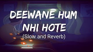 Deewane Hum Nahi Hote (Slow and Reverb)  Lofi  Hin