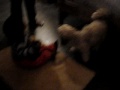 Faaaacu .-