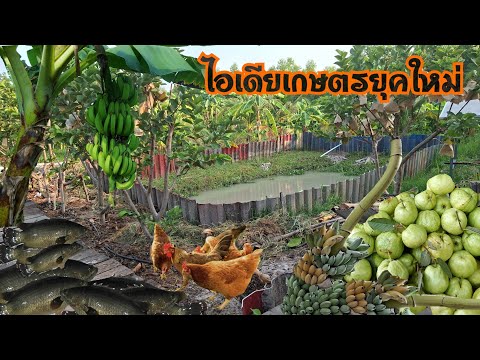 ทำเกษตรยุคใหม่ลดต้นทุนเพิ่มผลผลิต
