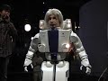 Robot Einstein