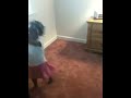 Getting dizzy