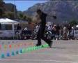 Slalom Roller