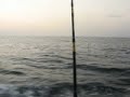 Fishing trip