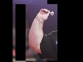 DARTS: 003 Como sostener un dardo
