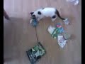 Secret Summer Surprise