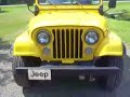 This jeep is ready to go riding. new paint job in 2006, custom exaust, wheel bearings all the way around brakes done in 2007, custom stainless steel dash and bolt and hood attachments.