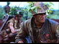 Vietnam War Vet Tribute