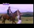  - MovieZen Video
