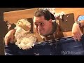 pie-throwing.html