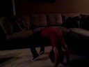 gymanstics gymanstics