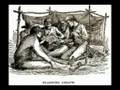 videos de White Slaves 3